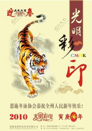 2010虎年挂历封面图片