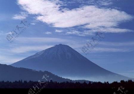 樱花与富士山0189