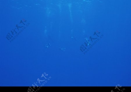 深海潜玩0030