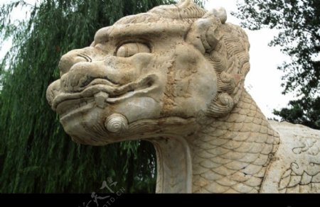 中国雕刻0023