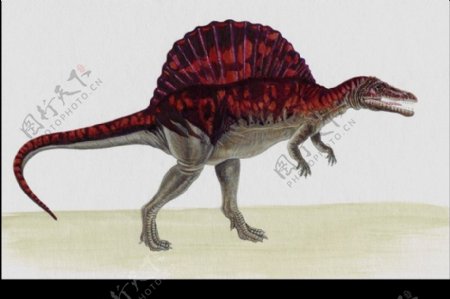 白垩纪恐龙0011