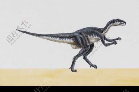 白垩纪恐龙0032