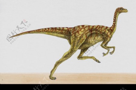 白垩纪恐龙0036