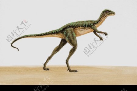 白垩纪恐龙0064