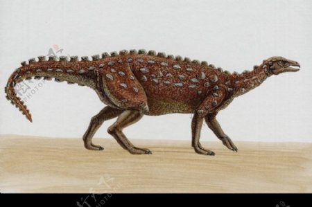 白垩纪恐龙0086
