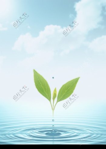 空气和水的绿意0066