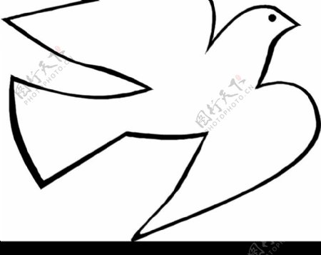 鸟类漫画0624