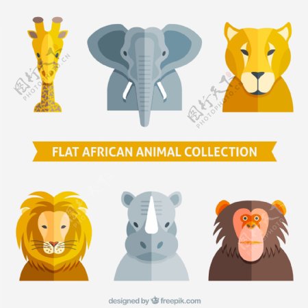 非洲动物头像
