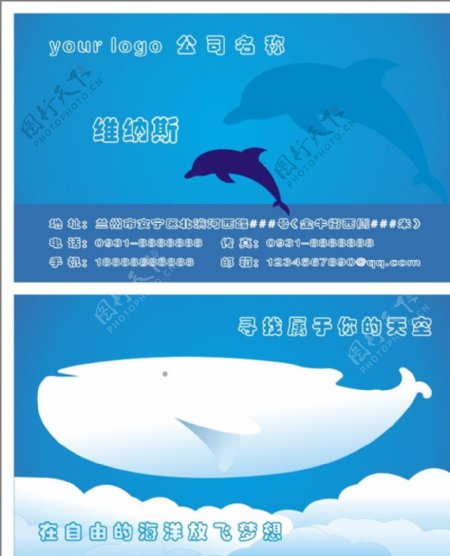 可爱鲸鱼名片