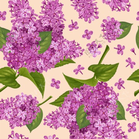 紫色丁香花无缝背景矢量素材