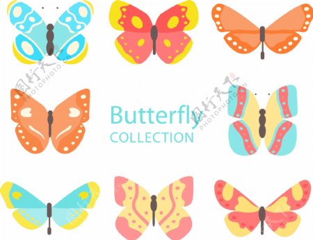 8款彩色蝴蝶设计矢量素材