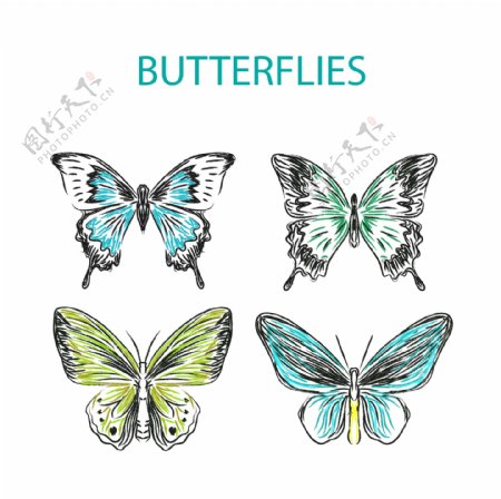 4款手绘蝴蝶设计矢量素材