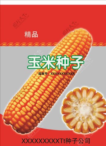 玉米种子分层