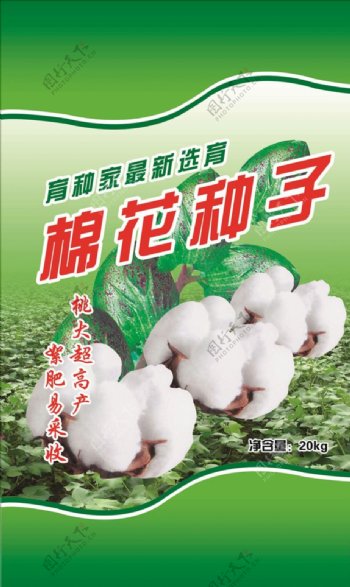 棉花种子分层