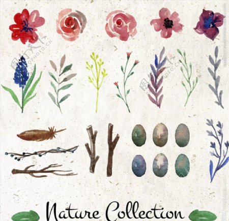26款水彩绘植物和鸟蛋自然元素