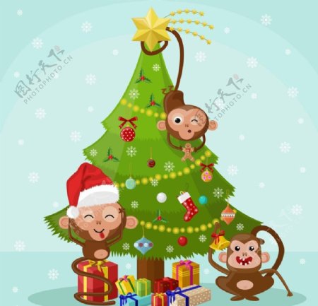 猴子与圣诞树