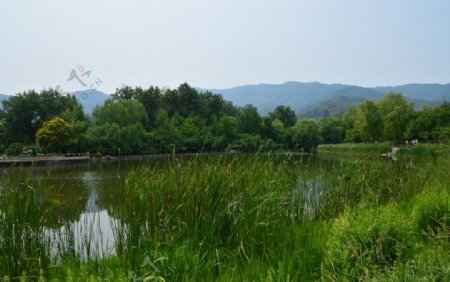 植物园风景