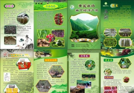 农产品四折页宣传册