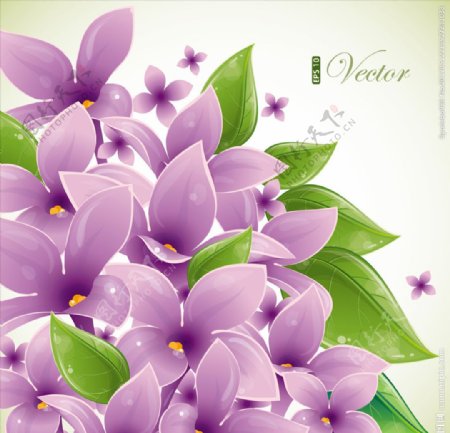 紫色手绘花瓣