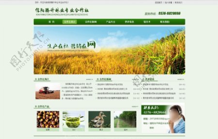 腾升林业网站