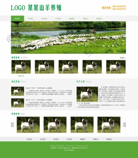 某山羊养殖网站模板