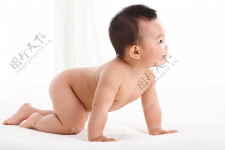 国内婴儿宝宝摄影