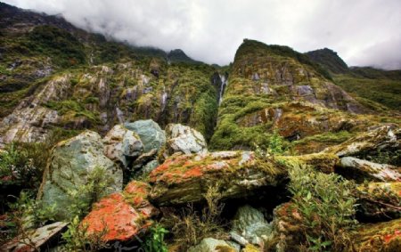 新西兰南岛荒野图