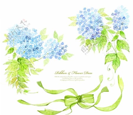 韩国蓝色花朵