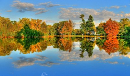 秋季公园湖泊和树木