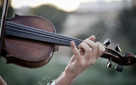 小提琴弦乐器