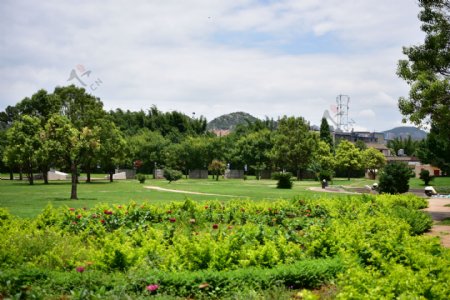 公园风景