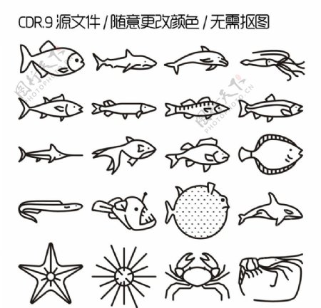 手绘鱼类海洋生物