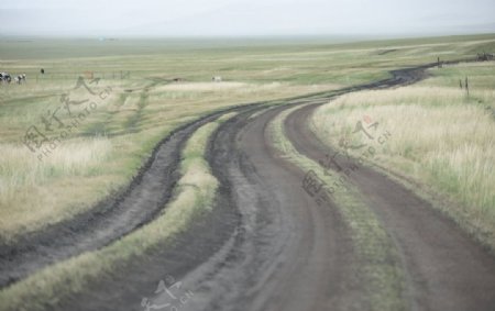 草原延伸的公路