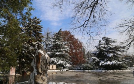 雪后的景色