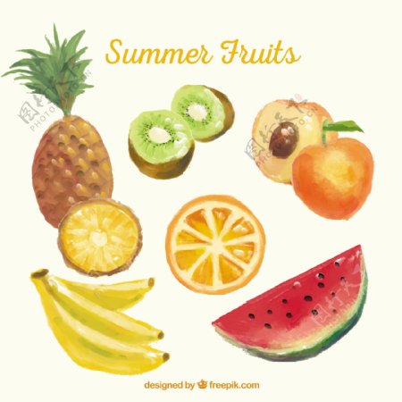 水彩夏季水果