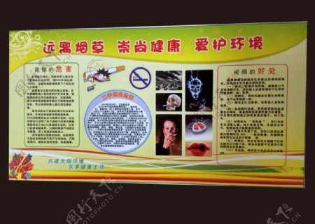 禁烟禁毒宣传活动模板源文件设计