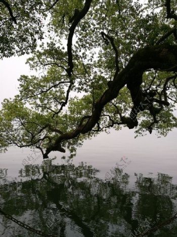 杭州西湖倒影西湖