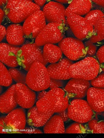 食品背景草莓