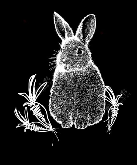 兔子胡萝卜图案下载
