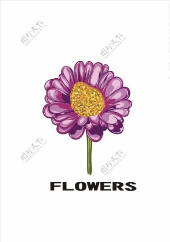 植物花朵花卉矢量图下载