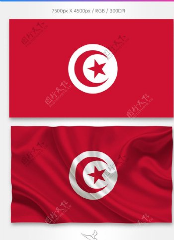 突尼斯国旗分层psd