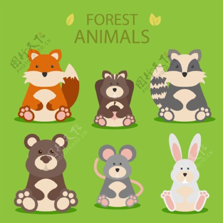 有趣的森林动物