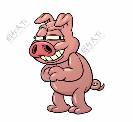 猪动画矢量图