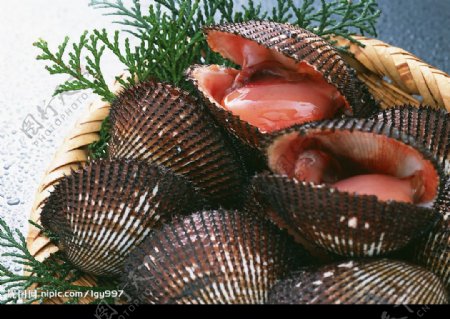 螺子肉背景海产品食物