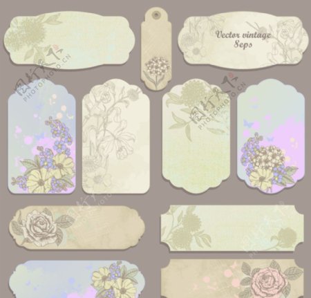 古典花纹花朵标签贴纸