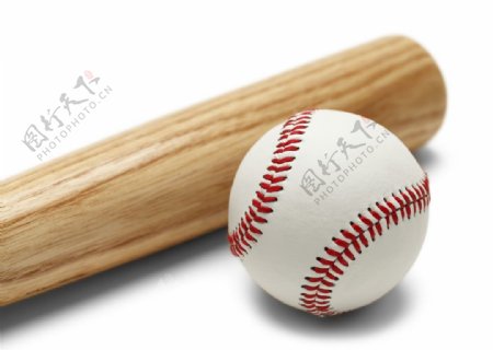 棒球球棒体育用品