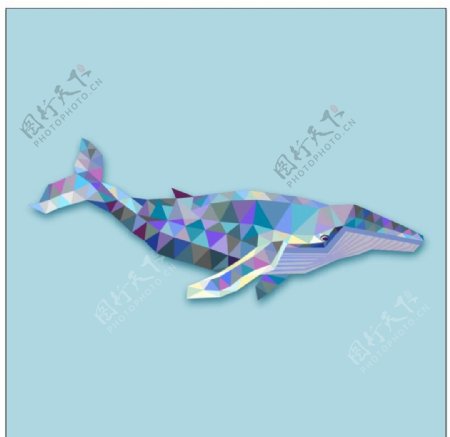 晶格化动物鲸鱼