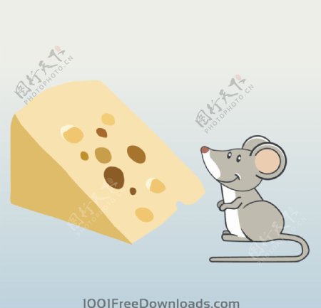 奶酪矢量背景图