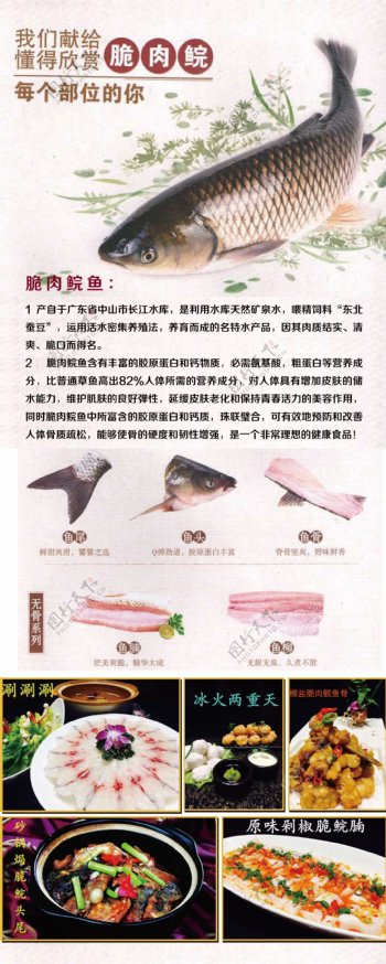 脆肉鲩鱼易拉宝