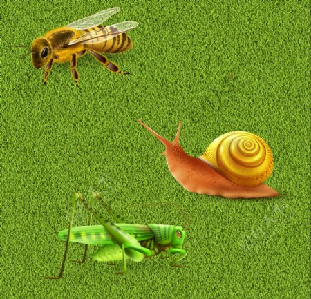蚂蚱蜜蜂蜗牛